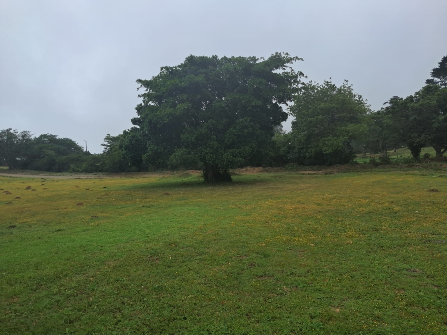0 Bedroom Property for Sale in Alexandria Eastern Cape